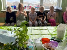 48748735111252625727350238171008537150450106n